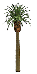 JTT Scenery Products O 96045 Professional Series Phoenix Palm Tree, 8" 20.3cm Tall