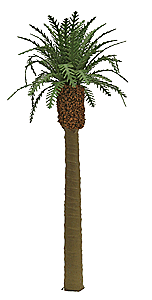 JTT Scenery Products O 96045 Professional Series Phoenix Palm Tree, 8" 20.3cm Tall