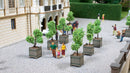 PREORDER Noch HO 14013 Ornamental Trees in Tubs (2-Pack)