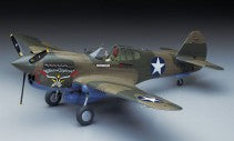 Hasegawa Models 8879 P-40E Warhawk 1:32 SCALE MODEL KIT