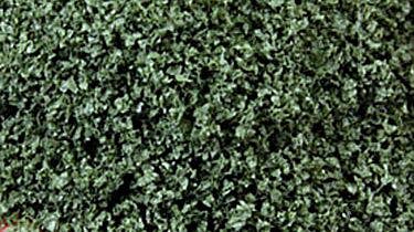 Scenic Express SE6152 SuperLeaf Scale Model Leaf Flake, Shaker, 16oz 454g, Olive Green