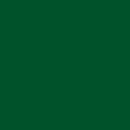 Tru-Color Paint 074 WP GREEN 1OZ