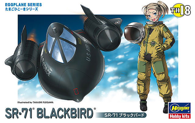 Hasegawa Models 60118 SR-71 Blackbird  SCALE MODEL KIT