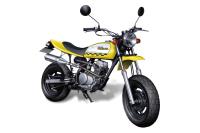 Aoshima 1/12 Honda AC16 Ape?50 '06 Custom Takegawa