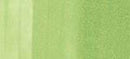 Copic Sketch Marker Greens, Pistachio G43 (4511338052976)