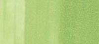 Copic Sketch Marker Greens, Pistachio G43 (4511338052976)