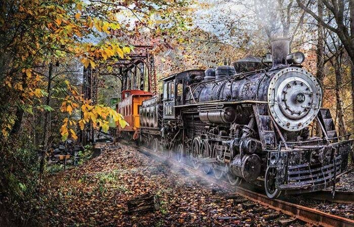 Train Enthusiast Vendors 30121 Train Puzzle, Train's Coming (1000 Pieces)