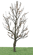 JTT Scenery Products O 05-92419 Tree with Dry Foliage (Late Fall), 6" 15.2cm