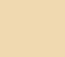 Tru-Color Paint TCP-1338 FS-33711 US MARINE SAND
