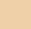 Tru-Color Paint 1375 Military Acrylic Color, FS-33613 Radome Tan (1oz)