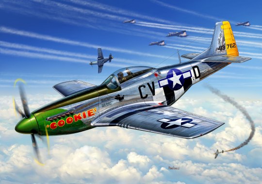 Revell Monogram Germany 04148 P-51D Mustang 1:72