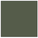 True-Color Railroad Paint 58 NP LIGHT GREEN 1oz
