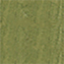 Testors 79407 CreateFX(R) Acrylic Wood-Color Washes - 1oz 29.6ml Bottle - Olive Green