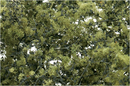 Woodland Scenics 1133 Fine-Leaf Foliage Olive Green