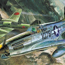 Academy Models 12441 P-51C 1:72