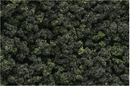 Woodland Scenics 139 Underbrush Forest Blend Bag