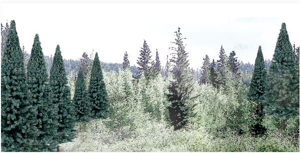 Woodland Scenics 1587 2' - 4' Blue Spruce (18pc) Value Pack