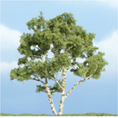 Woodland Scenics 1601 Ready Made Birch Tree 4'