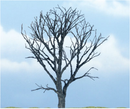 Woodland Scenics 1614 Ready Made Dead Maple Tree 4'