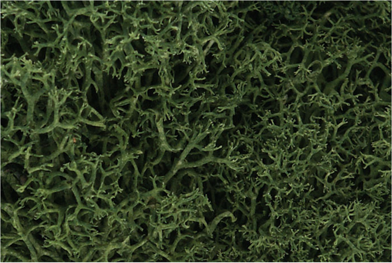 Woodland Scenics 163 Lichen - Medium Green