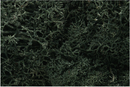 Woodland Scenics 164 Lichen Dark Green