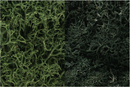 Woodland Scenics 168 Lichen Dark Green Mix