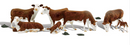 Woodland Scenics 1843 Hereford Cows, HO