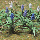 JTT Trees & Shrubs 95599 Grape Hyacinth (Muscari), O Scale