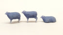All Scale Miniatures 870963 Sheep 5pack, HO