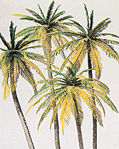 Preiser Kg 18600 Palm Trees -- pkg(4), HO Scale