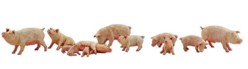 Woodland Scenics 2218 Yorkshire Pigs - N Scale