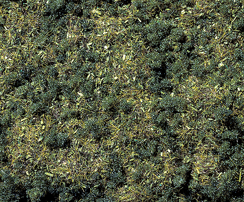 Noch Gmbh 8350 Scatter Material -- Forest, All Scales