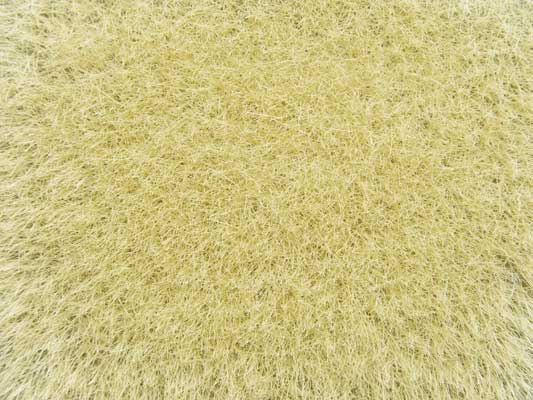 Noch Gmbh 7119 Static Wild Grass - 1-3/4oz 50g; Long Fibers - 3/8" .9cm -- Golden Yellow, All Scales