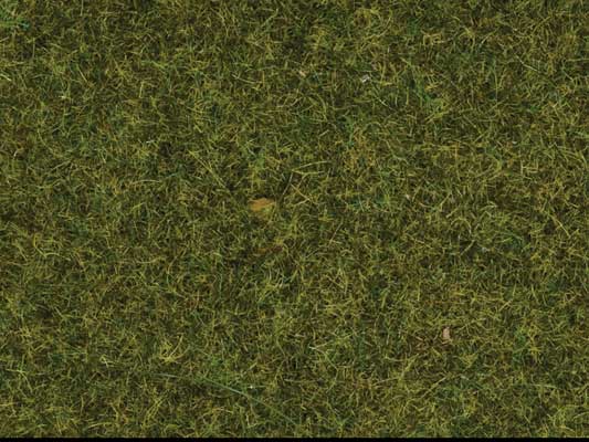 Noch Gmbh 7117 Static Wild Grass - 1.8oz 50g; 3/8" .9cm fibers -- Meadow, All Scales