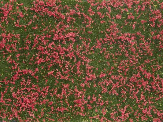 Noch Gmbh 7257 Ground Cover Foliage Pad -- Meadow Red 4-3/4 x 7-1/16" 12 x 18cm, All Scales