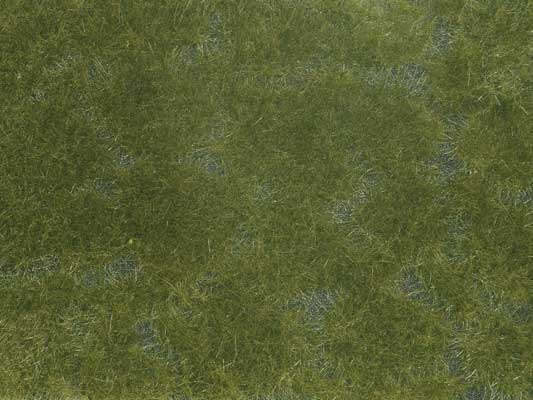 Noch Gmbh 7252 Ground Cover Foliage Pad -- Dark Green 4-3/4 x 7-1/16" 12 x 18cm, All Scales