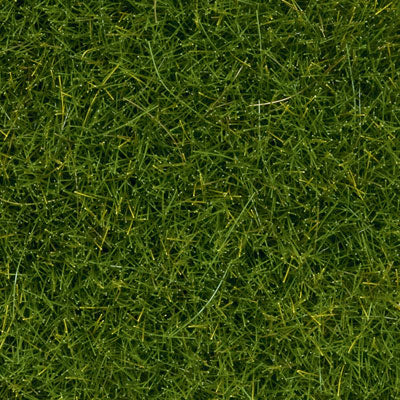 Noch Gmbh 7092 Wild Grass - 1/4"  .6cm Fibers in 3-1/2oz  100g Tub - Covers 1.2 Sq Yd  1 Sq m -- Light Green, All Scales