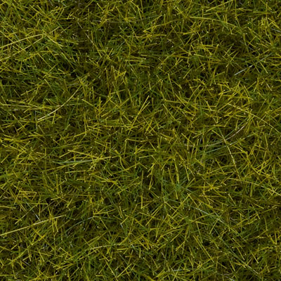 Noch Gmbh 7090 Wild Grass - 1/4" .6cm Fibers in 3-1/2oz 100g Tub - Covers 1.2 Sq Yd 1 Sq m -- Meadow, All Scales