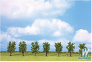 Noch Gmbh & Co 528-25088 Classic Series Deciduous Tree Economy Pack -- Green 3-1/8" 8cm Tall pkg(7), HO