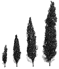 Plastruct 94141 Jacaranda Trees -- 1-1/2", All Scales