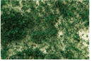 Bachmann 32608 SCENESCAPES Foliage Dark Green - Medium