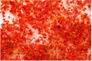 Bachmann 32614 SCENESCAPES Foliage Late Fall - Medium