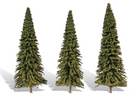 Woodland Scenics TR3573 Forever Green - 3/Pkg 6" - 7"