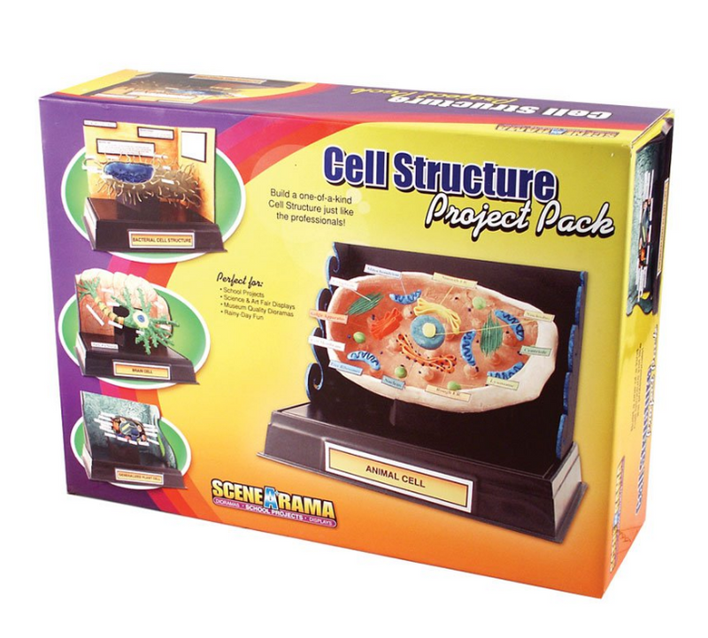 Woodland Scenics 4283 Cell Structure Project