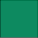 True-Color Railroad Paint 43 NYC JADE GREEN 1oz