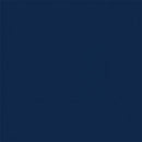 Tru-Color Paint TCP-767 SOLENT BLUE POLY