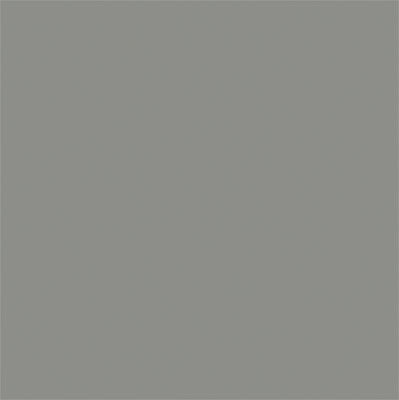 Tru-Color Paint TCP-855 FLAT WWATHERED GRAY WOOD