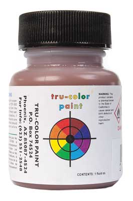 Tru-Color Paint TCP-865 NATIVE AMERICAN FLESH