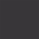 Tru-Color Paint TCP-805 BLACK FLAT BRUSH 1OZ