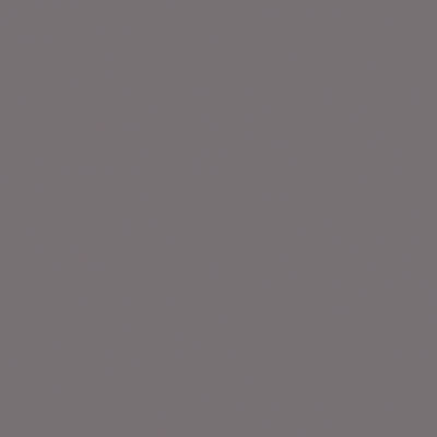 Tru-Color Paint TCP-333 SF TARPAN GRAY